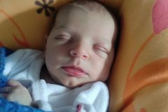 2022-09-17-17.20.28_340-220