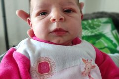 2022-09-19-12.19.42_340-220